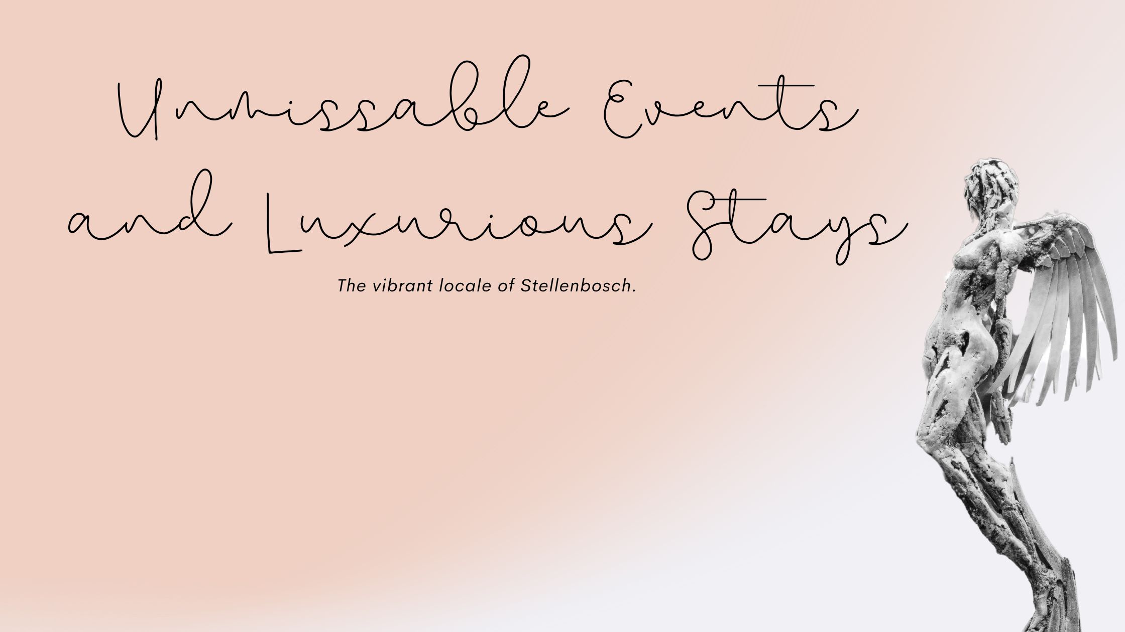 Unmissable Events and Luxurious Stays in Stellenbosch